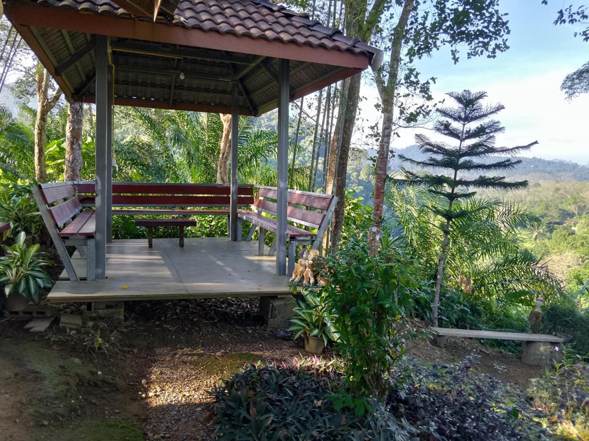 ภูริรักษ์ โฮมสเตย์ Ban Pha Saeng Lang المظهر الخارجي الصورة