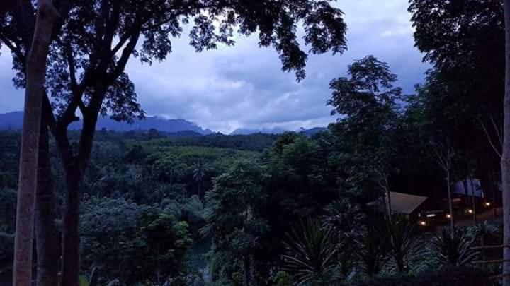 ภูริรักษ์ โฮมสเตย์ Ban Pha Saeng Lang الغرفة الصورة